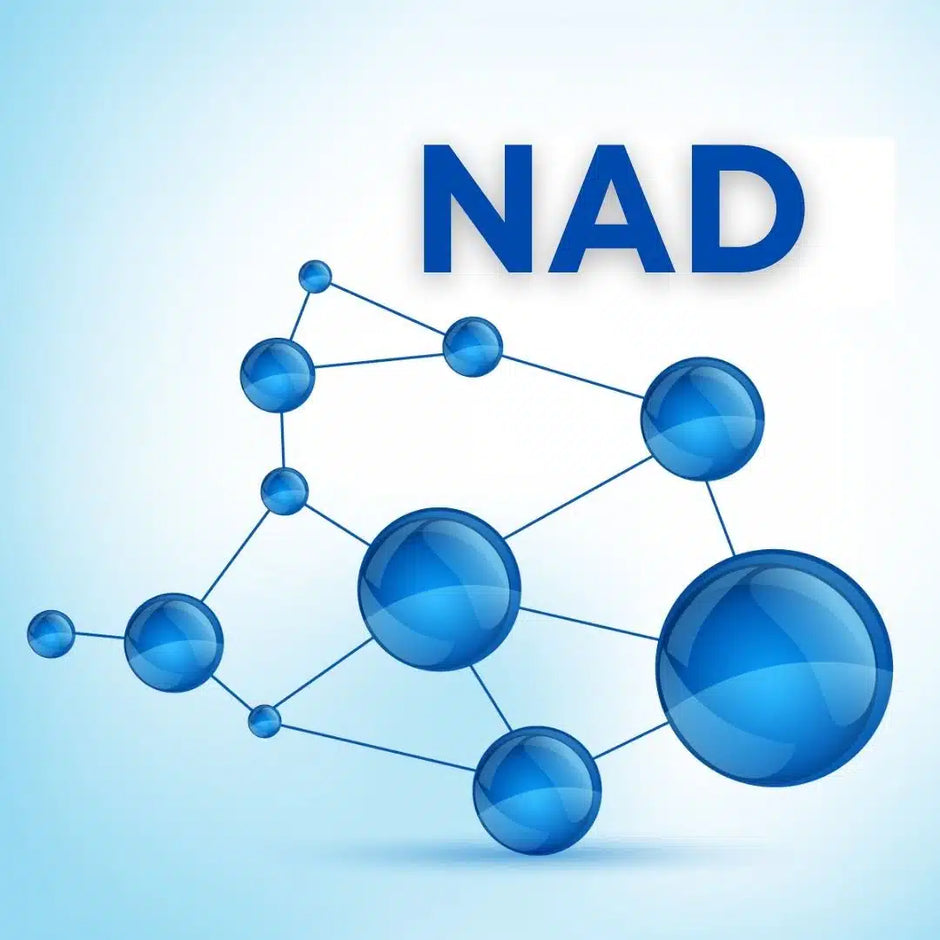 NAD+ Boosting Through Cold Therapy: The Science and Practice for Longevity Seekers